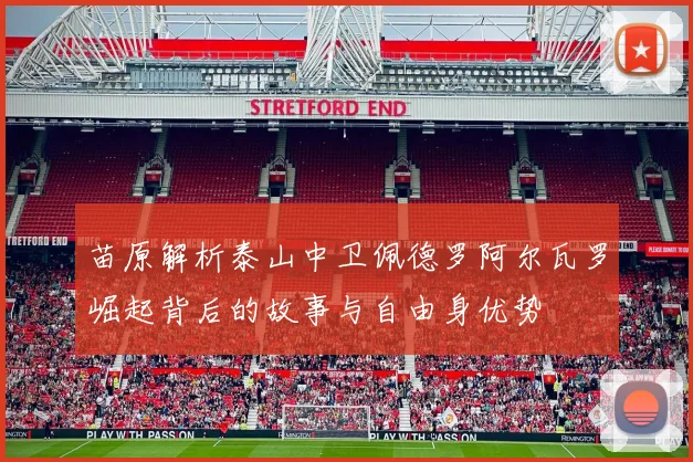 苗原解析泰山中卫佩德罗阿尔瓦罗崛起背后的故事与自由身优势