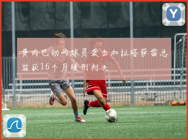 费内巴切两球员袭击加拉塔萨雷总监获16个月缓刑判决